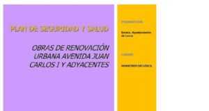 El Plan de Seguridad de las obras de Juan Carlos I, se puede consultar en la página web municipal.
