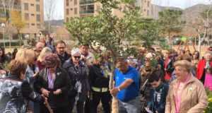 Plantar un árbol por la salud, en la jornada a beneficio de la AECC.