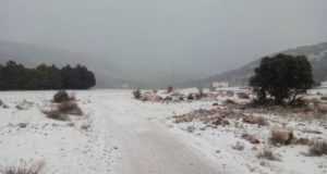 La nieve vuelve a cubrir de blanco parte de la Región.