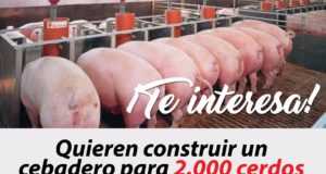 Vecinos de la Escucha y la Campana de Lorca, se oponen a la instalación de una granja de 2.000 cerdos junto a sus casas.