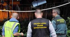 La Guardia Civil desmantela un invernadero de marihuana en Totana.