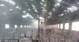 Más de 1.000 cerdos mueren calcinados en el incendio de un cebadero en Puerto Lumbreras.