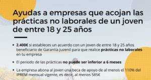 La Comunidad lanza una ayuda de 2.400 euros a empresas que acojan prácticas no laborales de jóvenes .