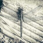 maratón fotográfico de Cosas de Lorca