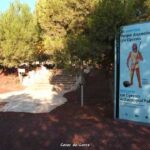 yacimiento argárico de los Cipreses