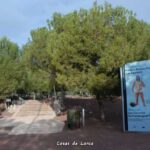 yacimiento argárico de los Cipreses