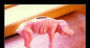 AL FINAL SIEMPRE PAGAMOS LOS MISMOS por Jesús Pelegrín