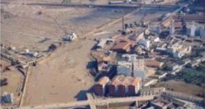 A BURRO MUERTO, CEBADA AL RABO! – Antonio de Cayetano