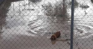 Piden al Ayuntamiento que defienda la seguridad de los vecinos afectados por las inundaciones.