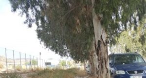 IU reclama el acondicionamiento y limpieza de las vías de entrada a la ciudad