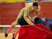 Paco Ureña se recupera en planta de la grave cogida sufrida.