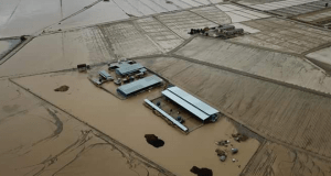 Piden que se encauce la rambla de Biznaga para acabar con las inundaciones en Campillo