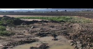 Vecinos de Cazalla reclaman el apoyo del PP para exigir la reparación de la travesía Puente Ronco, el Carril del Vela, y mejorar el parque, la pista deportiva y el local social de Cazalla.