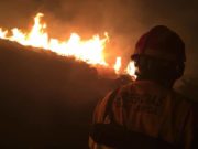 Un incendio en la sierra de Almenara calcina 6 hectáreas de monte bajo