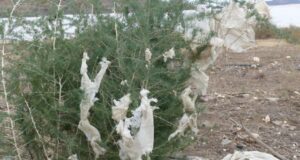 IU-Verdes exige el cumplimiento del acuerdo de Pleno sobre elaboración de una ordenanza de gestión de plásticos agrícolas