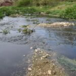 IU-Verdes Lorca intensifica su acción frente la "sopa tóxica" en que las Administraciones han consentido que se convierta el río Vélez 45