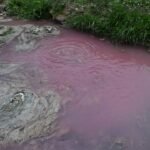 IU-Verdes Lorca intensifica su acción frente la "sopa tóxica" en que las Administraciones han consentido que se convierta el río Vélez 37