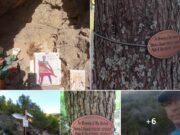 PROPUESTA DE HOMENAJE EN EL SENDERO AL CEJO