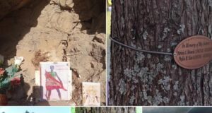 PROPUESTA DE HOMENAJE EN EL SENDERO AL CEJO