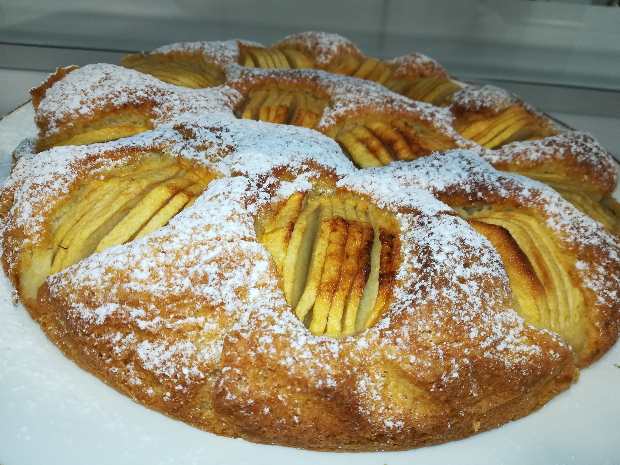 127144665 431358531590125 8563607783493731932 n