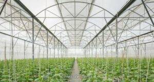 El Ayuntamiento de Lorca informa de las subvenciones a disposición de los agricultores y ganaderos del municipio