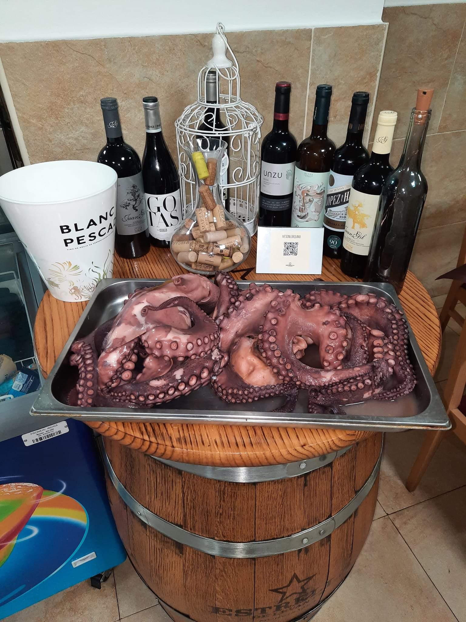 267117090 3098116203778816 4551054879265925064 n