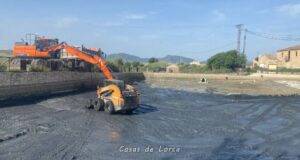 El Ayuntamiento de Lorca pone en marcha labores de limpieza y mantenimiento en el estanque de Doña Inés