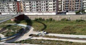 La Concejalía de Sanidad de Lorca realizará labores de fumigación en el cauce del río Guadalentín hoy viernes, 20 de mayo