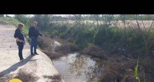 Tres años de abandono convierten el canal de la rambla de Biznaga en una ciénaga de agua pestilente y putrefacta, un serio foco de problemas de salud pública