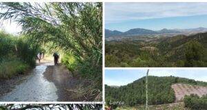 TRANSITAR POR LA RAMBLA DEL CHORTAL PARA SUBIR HASTA LA ERMITA DE LOS MOROTES