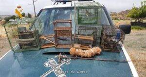 La Guardia Civil sorprende a un furtivo en Lorca mientras capturaba aves fringílidas