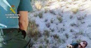 La Guardia Civil rescata a dos perros atrapados en una balsa de riego abandonada