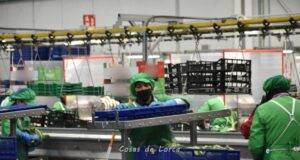 El paro se reduce en Lorca en 193 personas en julio y alcanza cifras similares a antes de la crisis de 2008