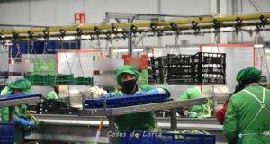 Murcia es la comunidad que más empleo creó en noviembre