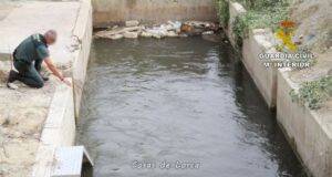 La Guardia Civil rescata a un jabalí que había caído a un canal en Lorca