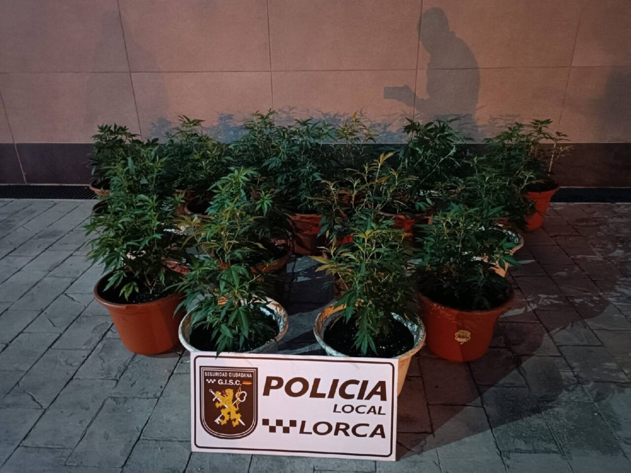 Policia