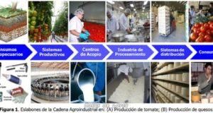El Ayuntamiento de Lorca informa de la apertura del plazo para solicitar las ‘Ayudas a Inversiones en Transformación, Comercialización y Desarrollo de Productos Agrarios’