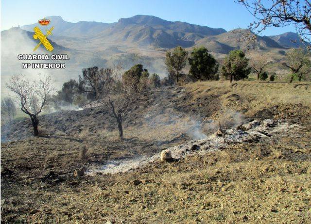 La Guardia Civil investiga al presunto autor de dos incendios forestales en Lorca 17
