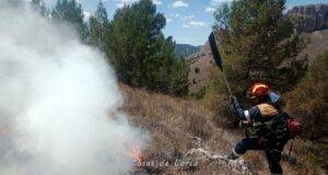 Controlado el incendio forestal declarado en Peña María en la diputación de Zarcilla de Ramos