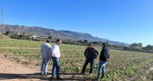 El alcalde de Lorca visita las zonas más afectadas por el granizo y solicita la declaración de zona gravemente afectada por emergencia de protección civil (zona catastrófica)