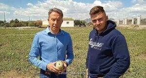 Fulgencio Gil reclama la declaración de zona catastrófica para ayudar a los agricultores afectados por la granizada que ha arruinado miles de hectáreas