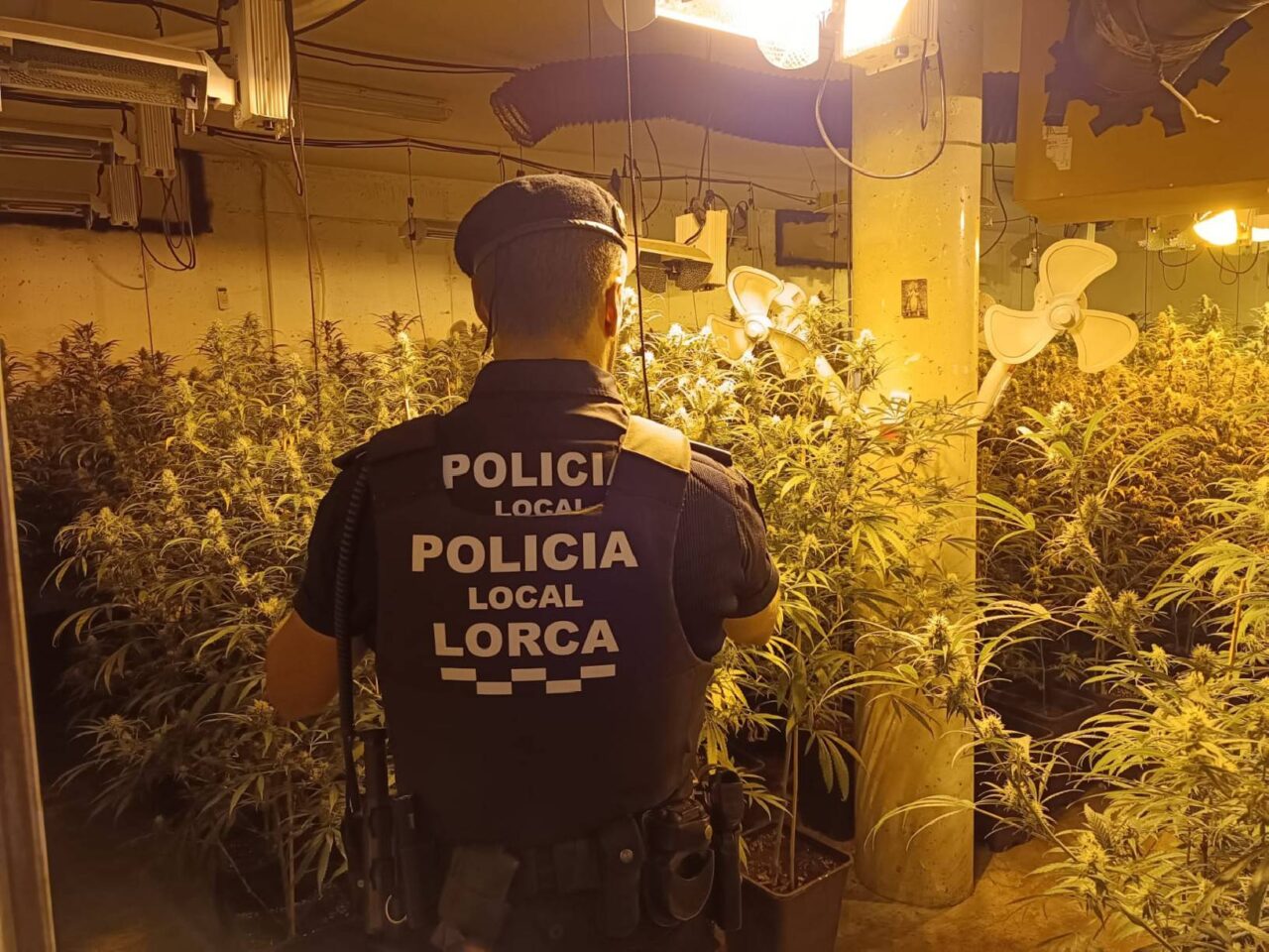 MARIHUANA