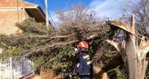 Las fuertes rachas de viento dejan hasta el momento un total de 36 incidencias en Lorca
