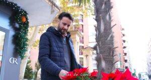 La Navidad llega a los espacios verdes de Lorca con 2.000 flores de pascua