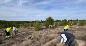 Aguas de Lorca realiza la reforestación de su «Bosque Corporativo» con la plantación de 500 nuevos ejemplares