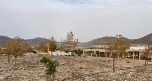 El PSOE de Lorca denuncia el lamentable estado en el que se encuentra el principal parque de La Paca debido a la negligente gestión del Alcalde Fulgencio Gil