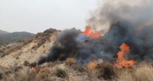 Efectivos del Plan Infomur combaten un incendio forestal en Lorca