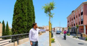 El Ayuntamiento implanta zonas de sombra en la ‘isla de calor’ en la bajada del Puente Viejo hacia la ciudad