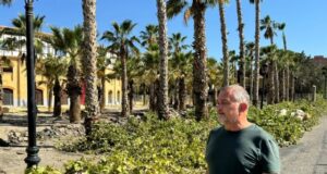 El Ayuntamiento denuncia la falta de sensibilidad del Gobierno de España a la hora de trasplantar 300 árboles afectados por las obras del soterramiento del AVE