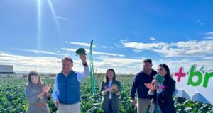 Arranca en Lorca la XX campaña nacional de promoción del brócoli bajo el lema «Mejor con brócoli»